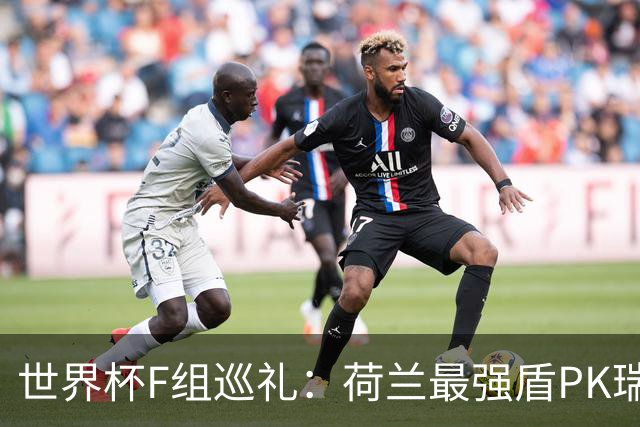 世界杯F组巡礼：荷兰最强盾PK瑞典犀利刀 日本短板明显